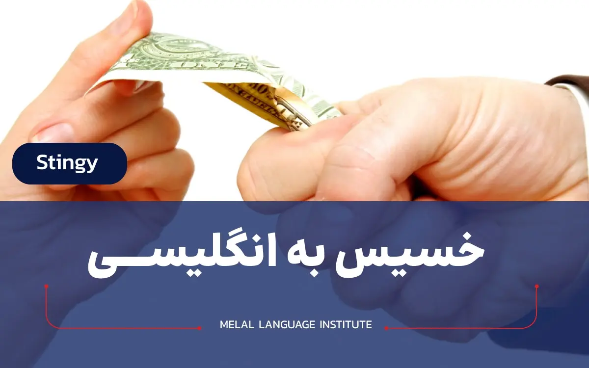 آدم خسیس به انگلیسی | معادل های خسیس در زبان انگلیسی - ملل