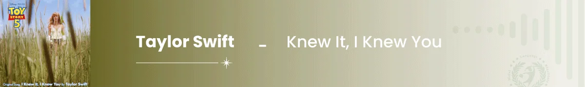 آهنگ انگلیسی I Knew It, I Knew You
